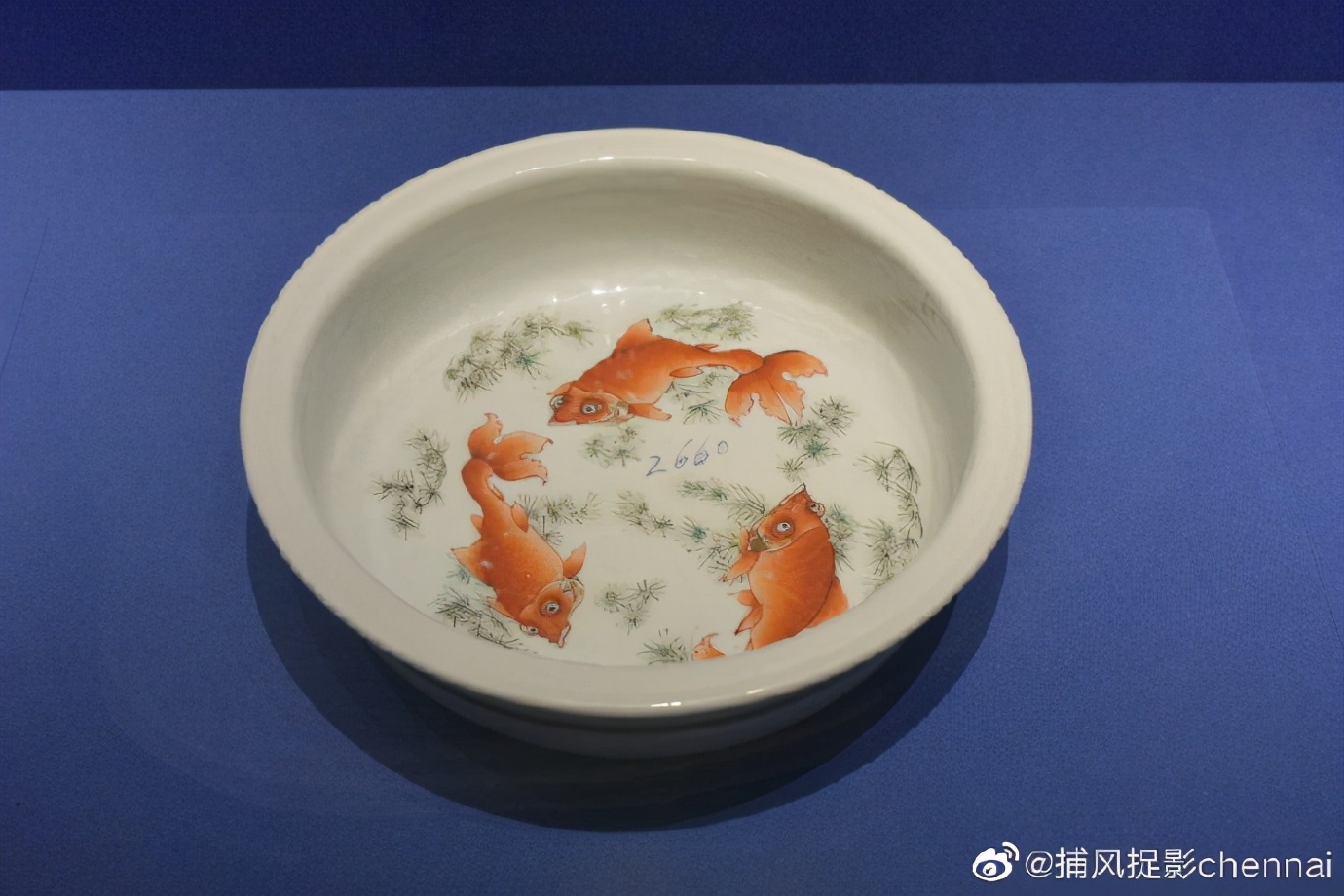 金鱼展和金鱼题材*物文**展