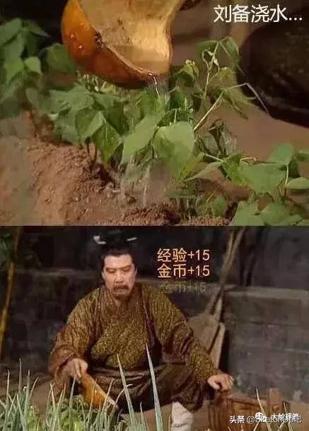 lumion9教程视频,lumion9渲染出来的照片为什么没有