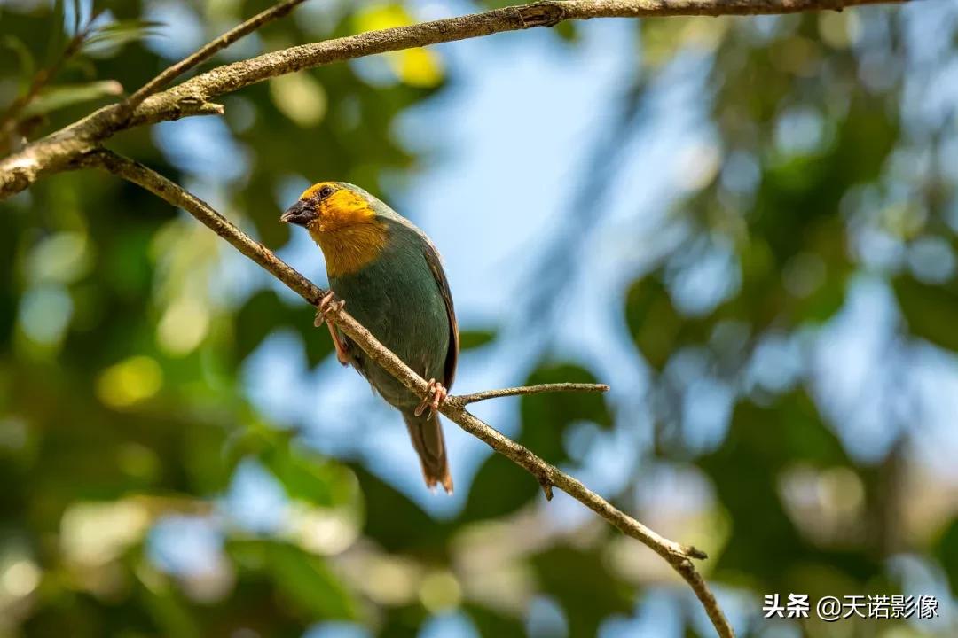 徕卡sl90-280拍人像,徕卡sl24-90镜头与24-70镜头比较