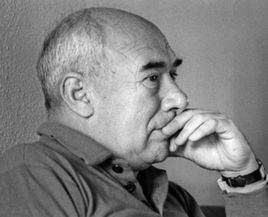 足球基本阵型与基本战术,足球阵型及分析