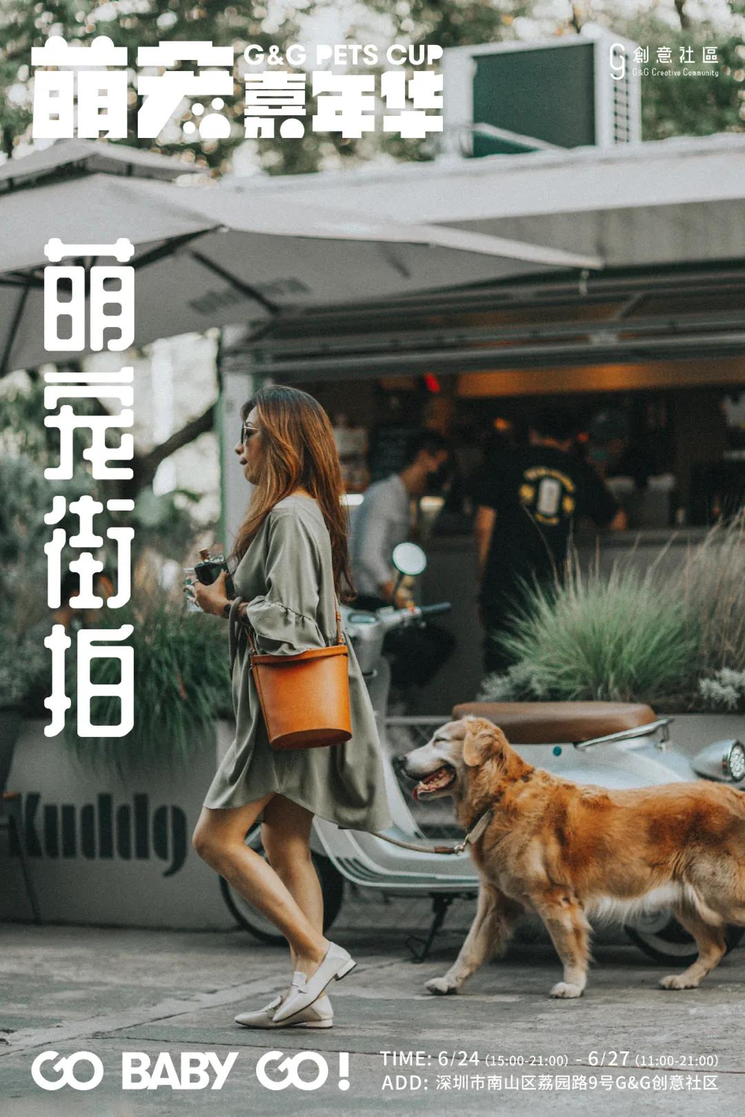 爱宠大机密作战计划,爱宠大作战作战计划