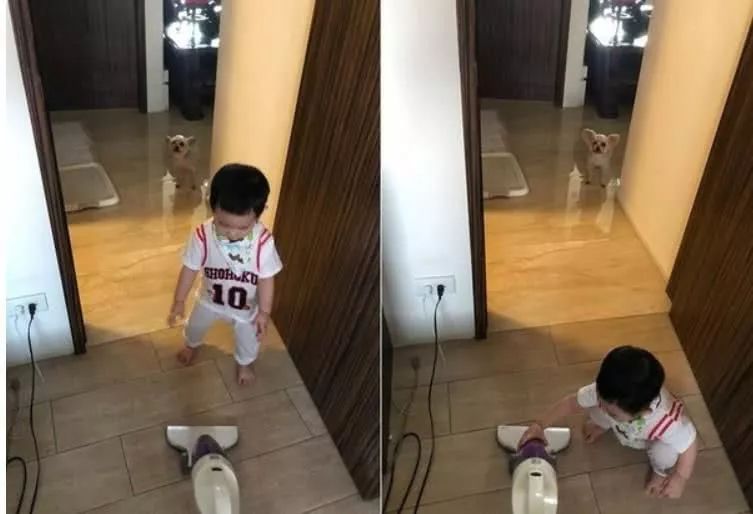 每天黏一起出现姐弟脸！约克夏撞脸小主人，连眯眯眼也同款