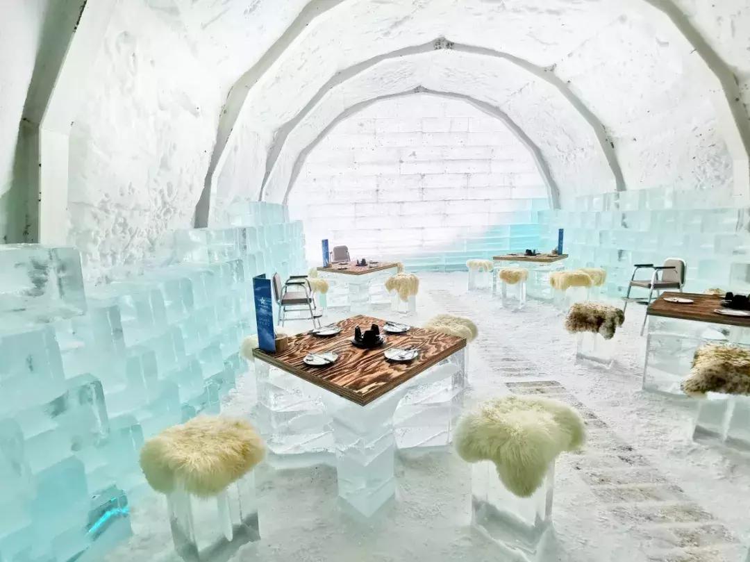 中国雪乡vs日本北海道雪景,日本北海道和东部雪乡哪个好