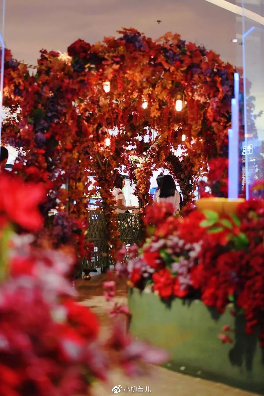 曼谷又好吃又好玩 (泰国美食曼谷旅游攻略)