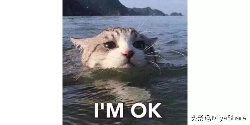 hbn护肤品吐槽,玛莉格护肤品吐槽