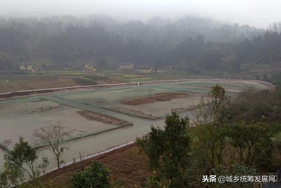 樊霞四川人,樊霞养殖