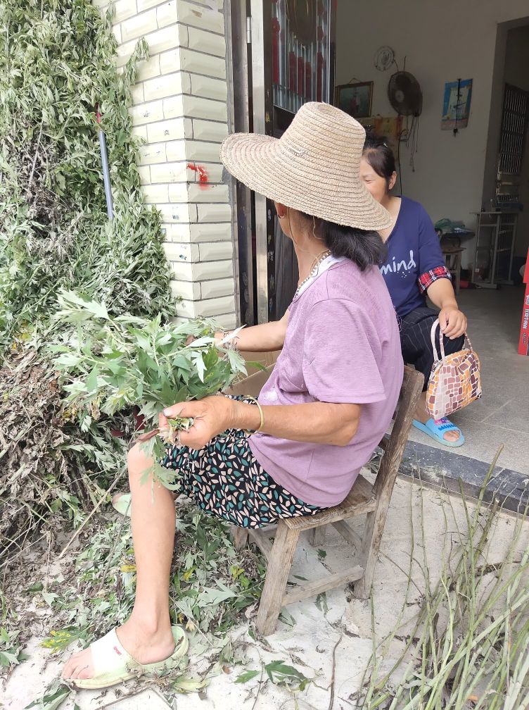 艾条颜色对照表,为什么艾条颜色不同