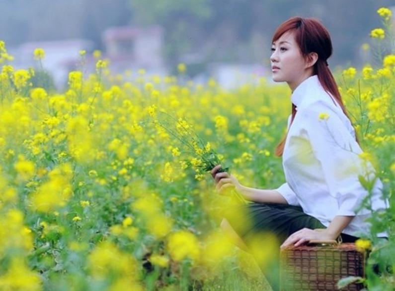 「七绝」谁解蜜蜂穿梭忙