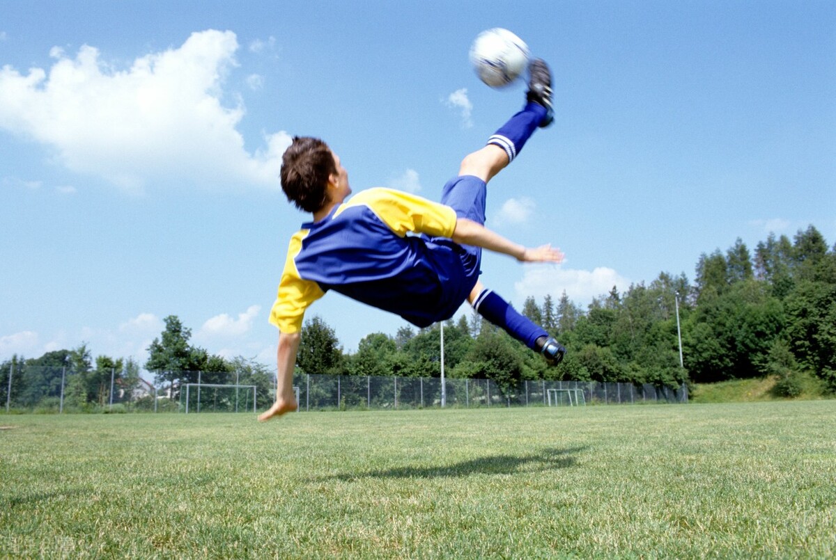 世界杯趣事2006,世界杯趣事完整版