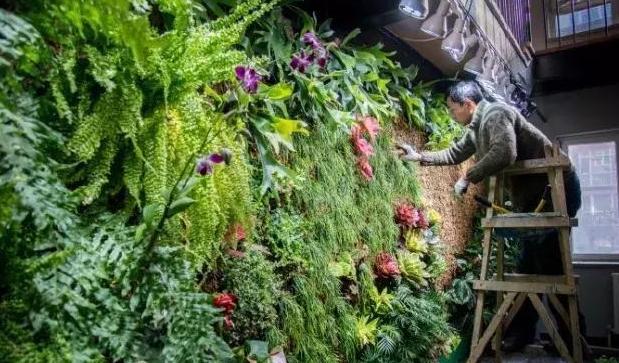 最强大脑水哥亲自做题,最强大脑水哥营养液