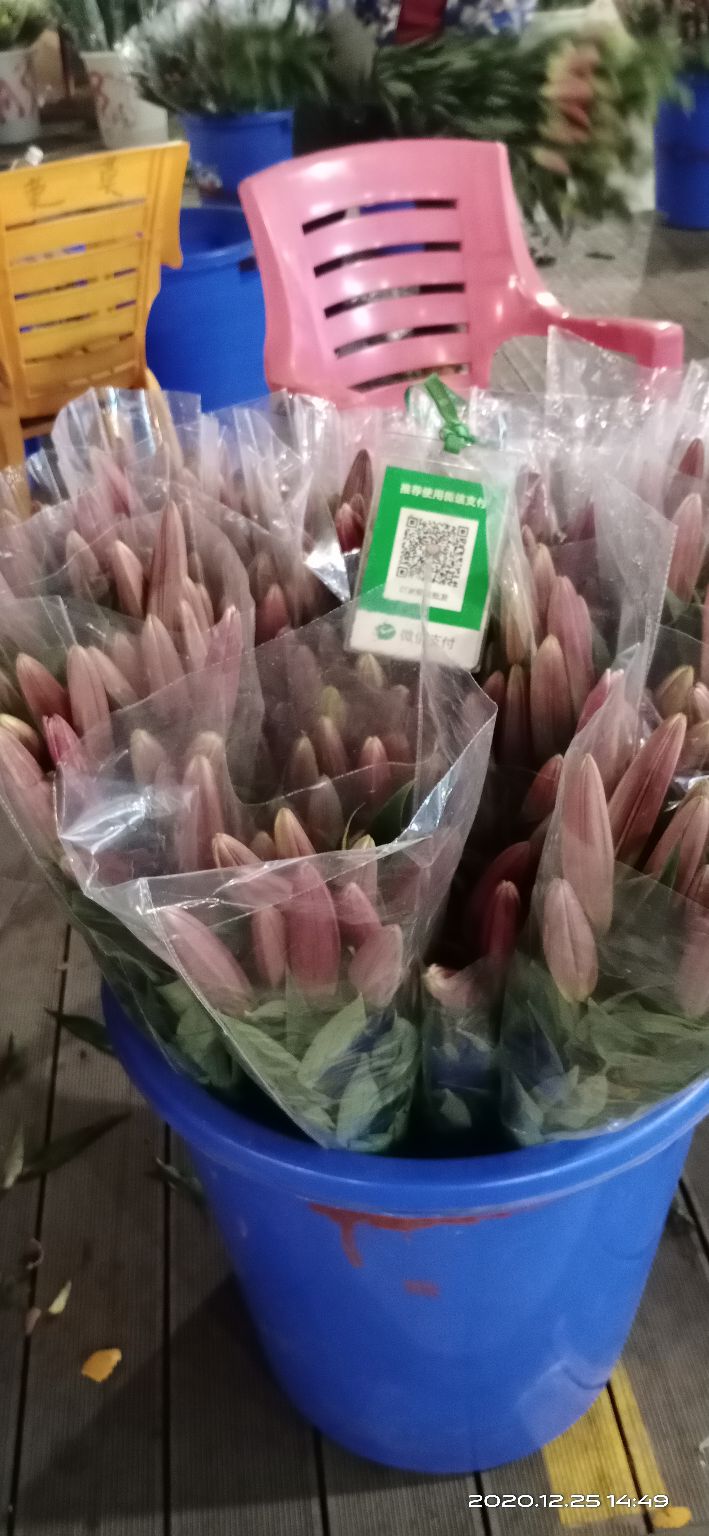 逛岭南花卉市场攻略,岭南芳村花卉批发市场游玩的美文