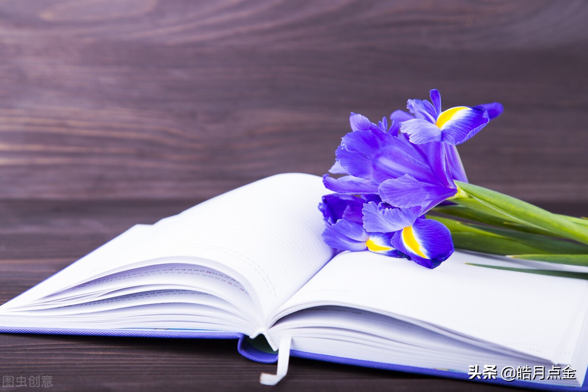 白银站上19关口黄金面临区间突破,皓月点金最新分析