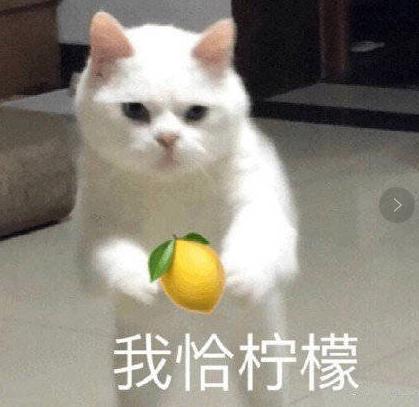 娃友们的福音:泡泡玛特入驻哈噜玛特啦