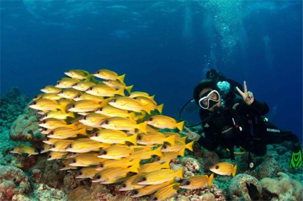 三亚亲子游玩攻略2-3天一晚住宿,三亚亲子游玩攻略二天一晚