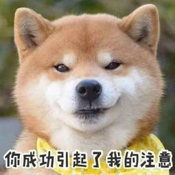 清易h30plus测评,清易扫地机器人h30plus评测