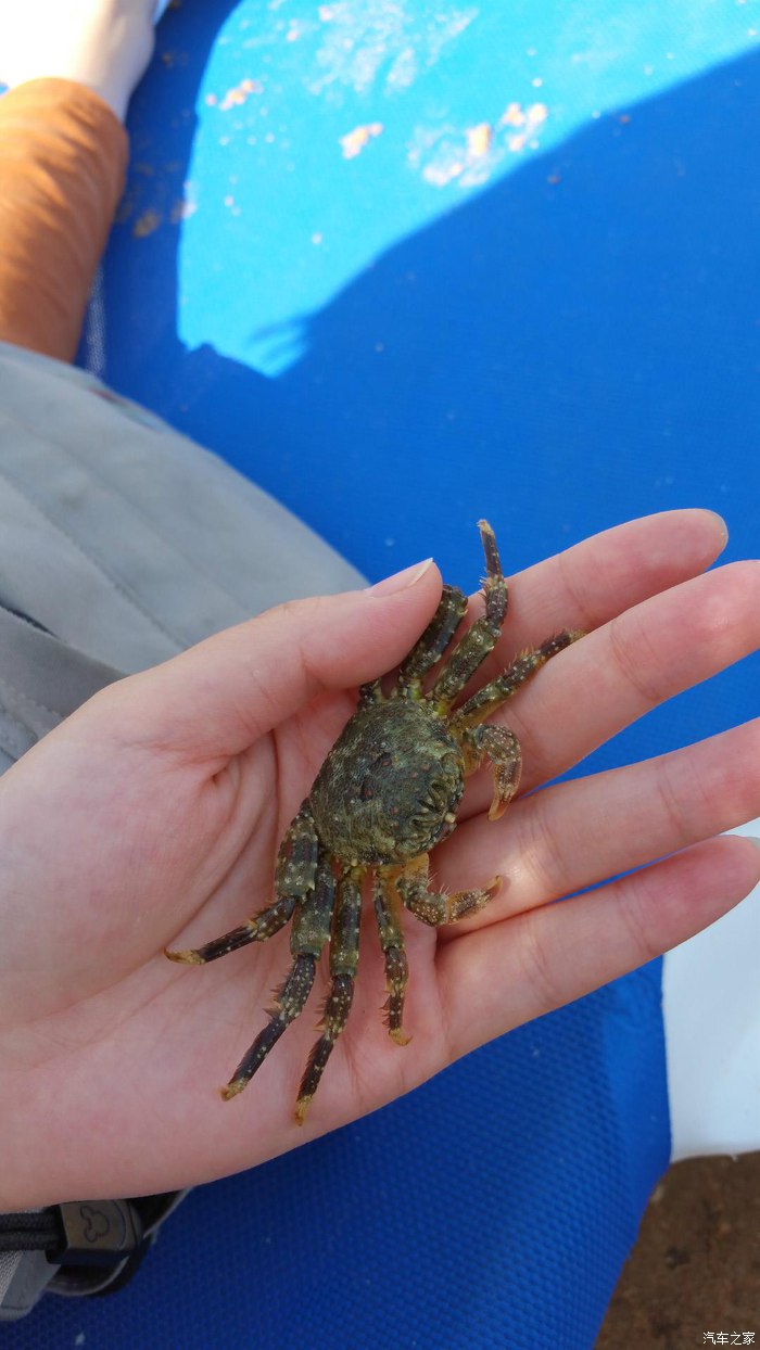 埃及10日游旅游攻略图,埃及六日游路线攻略图高清