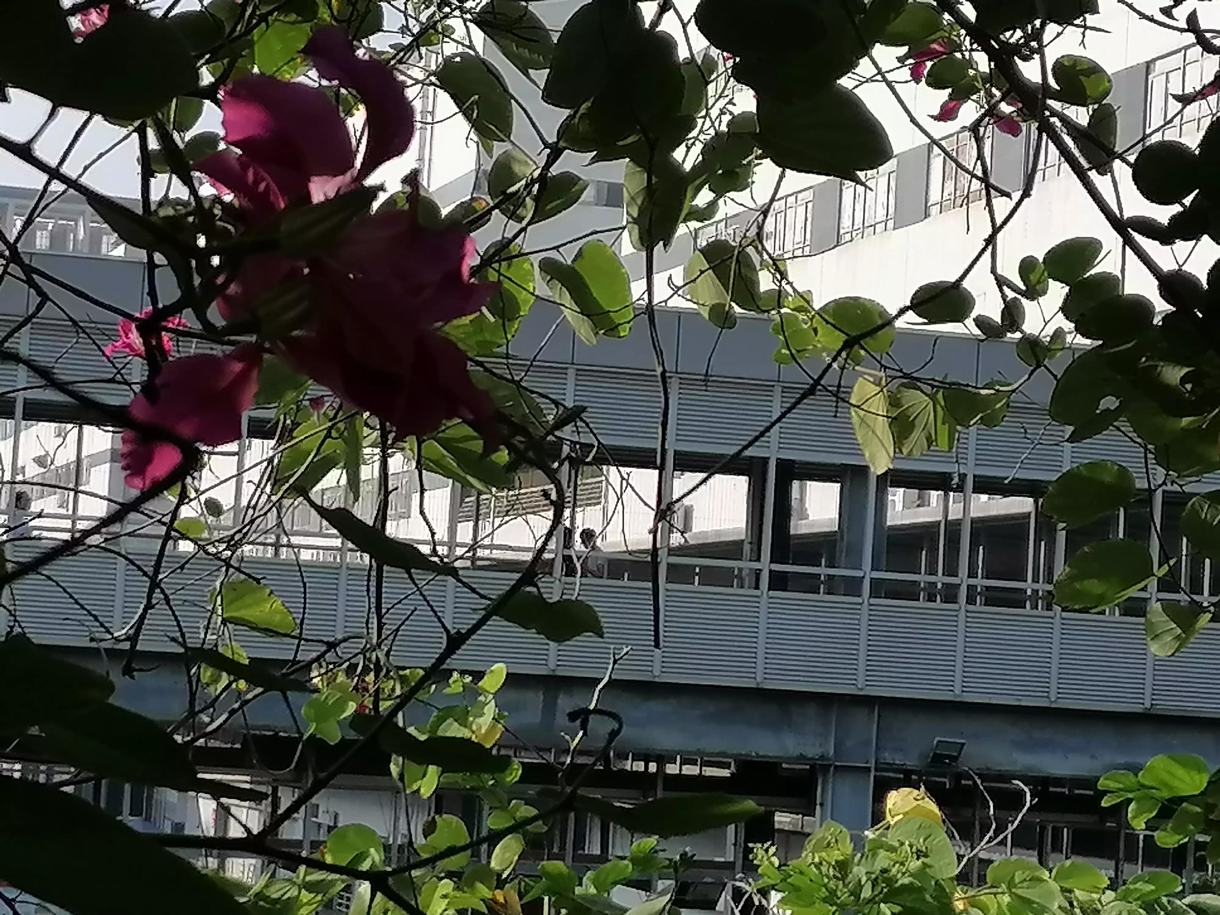 网贷信用卡逾期后被起诉,信用卡网贷逾期后起诉