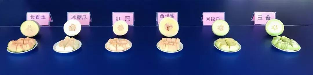 星选爱吃|看完这份蜜瓜评测，我明白这份“都挺好”的来之不易