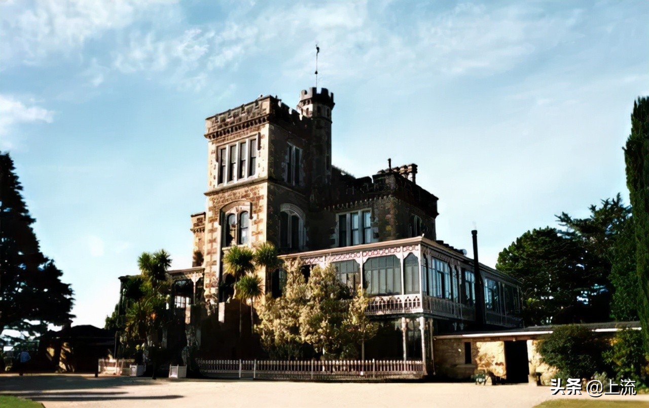 看了一次新西兰式硬核搬家，租房青年悟了