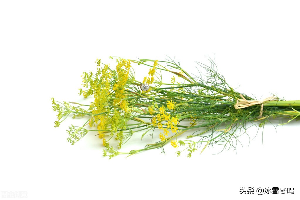 它是西点师傅口中的云南高海拔神秘香料,所谓蜘蛛香并不神秘