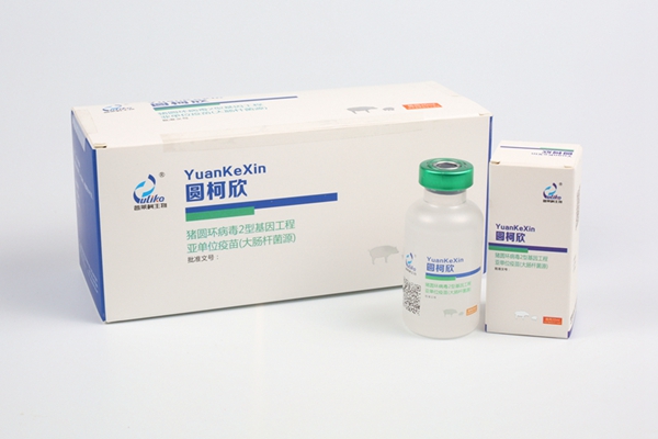 猪场免疫程序及流程图表,猪场正规免疫程序图