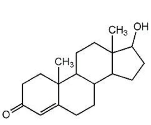 睾酮t是什么意思,睾酮t1期