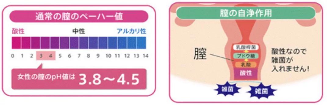 香港九价哪里正规 (香港宫颈癌疫苗9价水货)