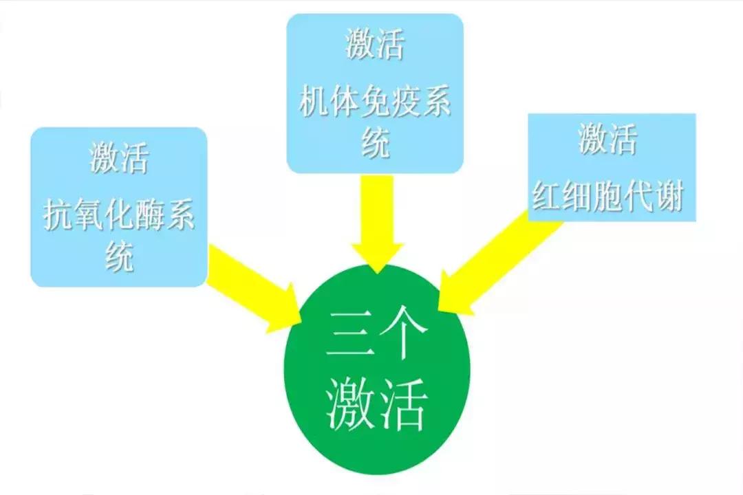 应对“亚健康”山城医院有妙招