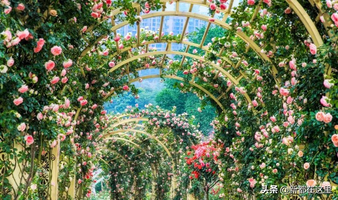 这才是9月最值得去的地方,4月最值得去的地方