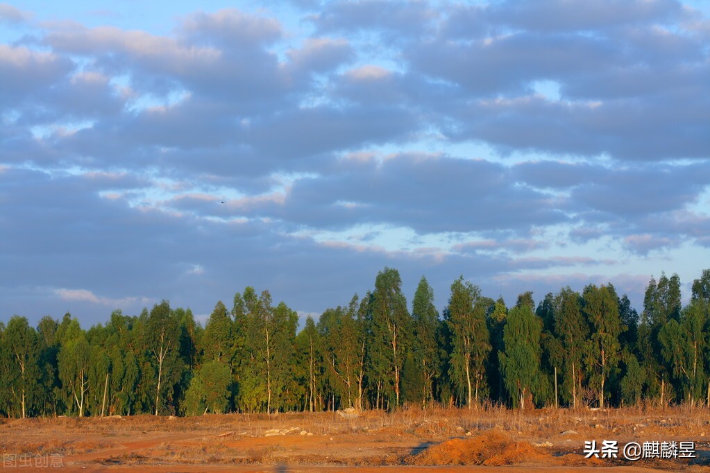 全屋定制板材环保级别,全屋定制板材怎么选