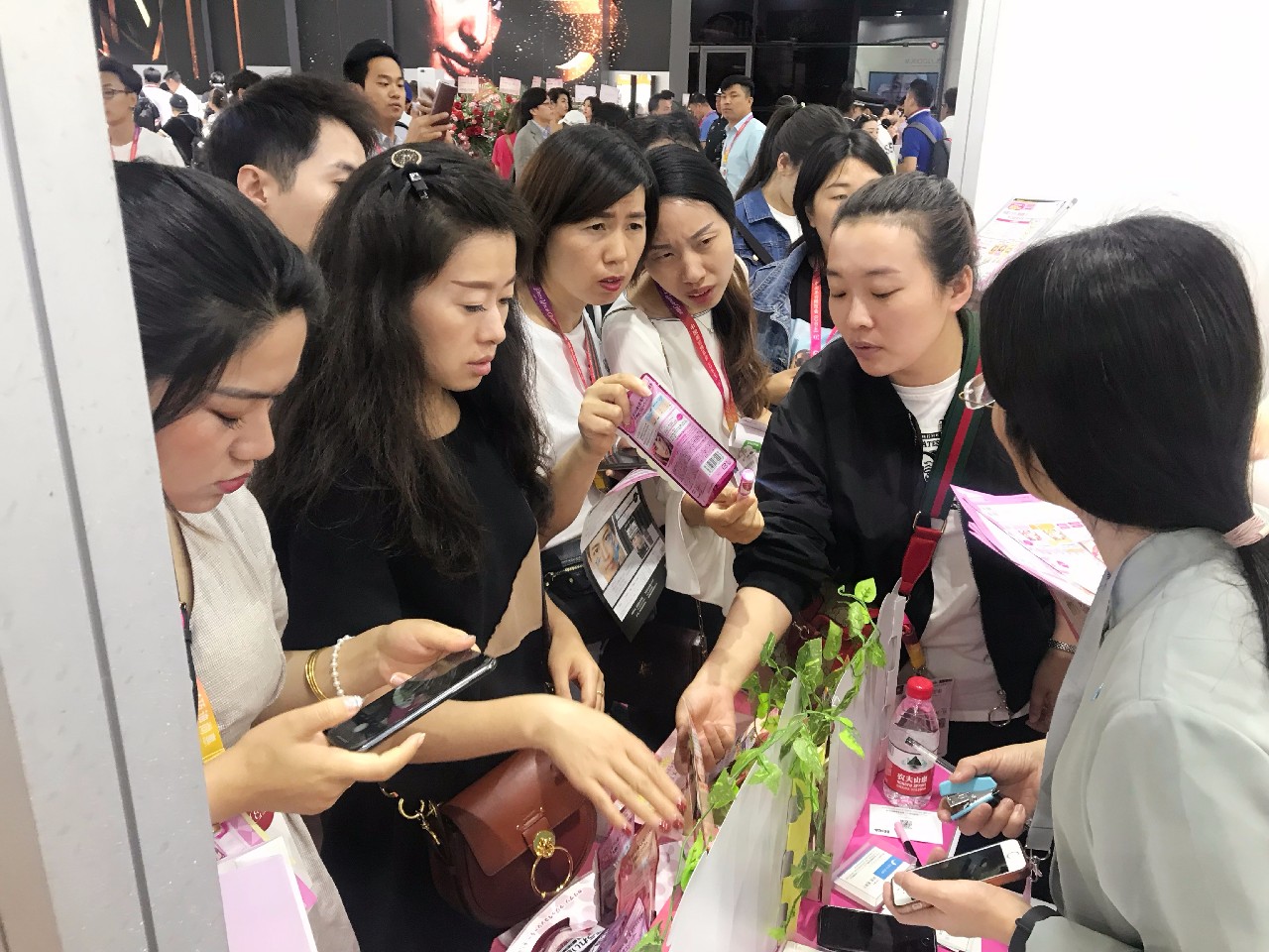 宝丽星日本,宝丽星