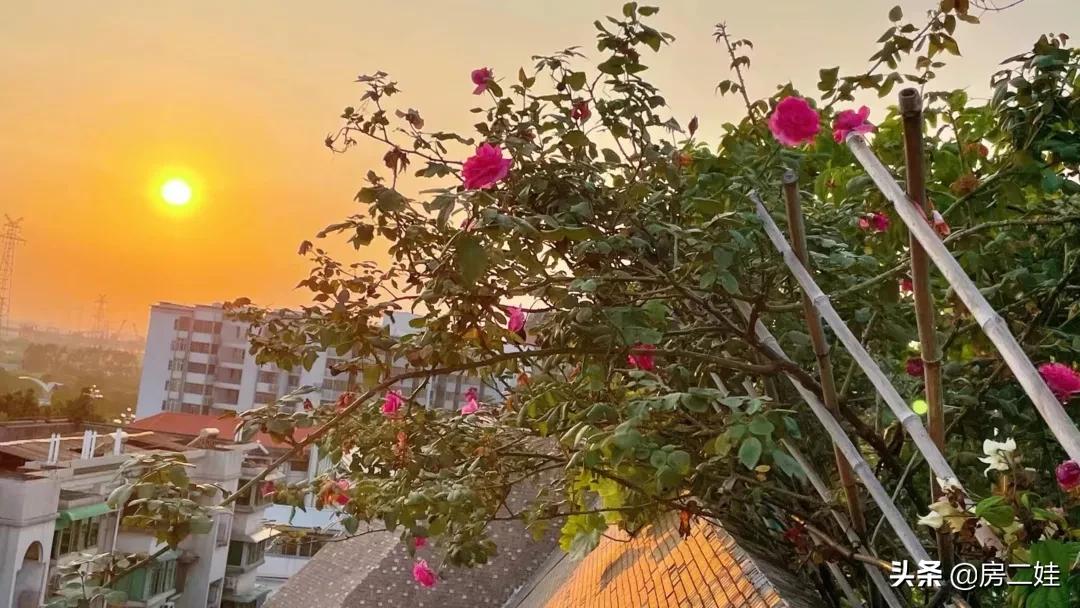 房二娃：MMP，这房子，我不卖了