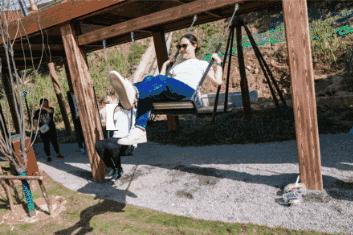 元宵喜乐会活动入口,元宵喜乐团圆美满