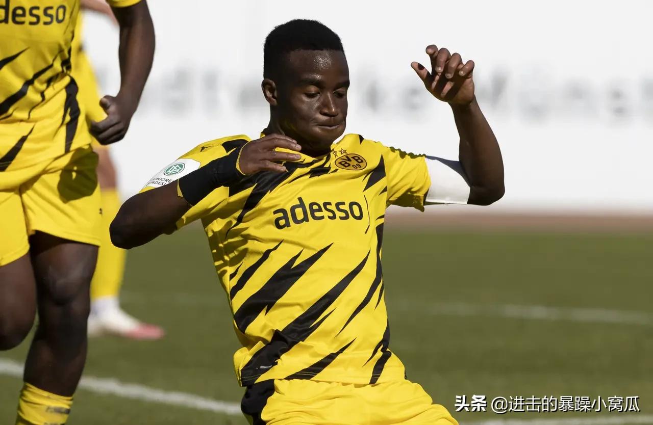 多特引进哈兰德,多特晋级哈兰德