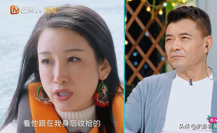 秦海璐王新军爱情该有的样子,秦海璐王新军怎么走到一起的