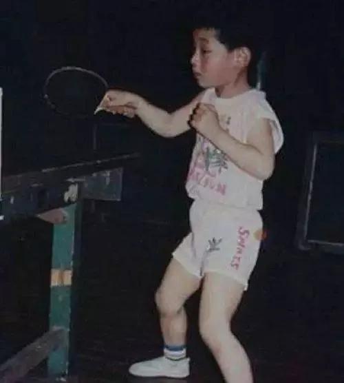 张继科能和刘诗雯最后走在一起吗,乒乓球十大未解之谜张继科刘诗雯