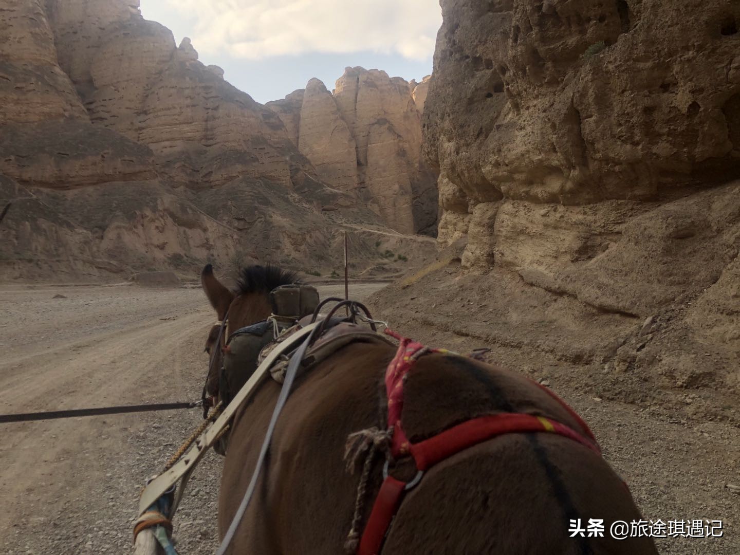 景泰黄河石林22道弯全景,景泰黄河石林全景图