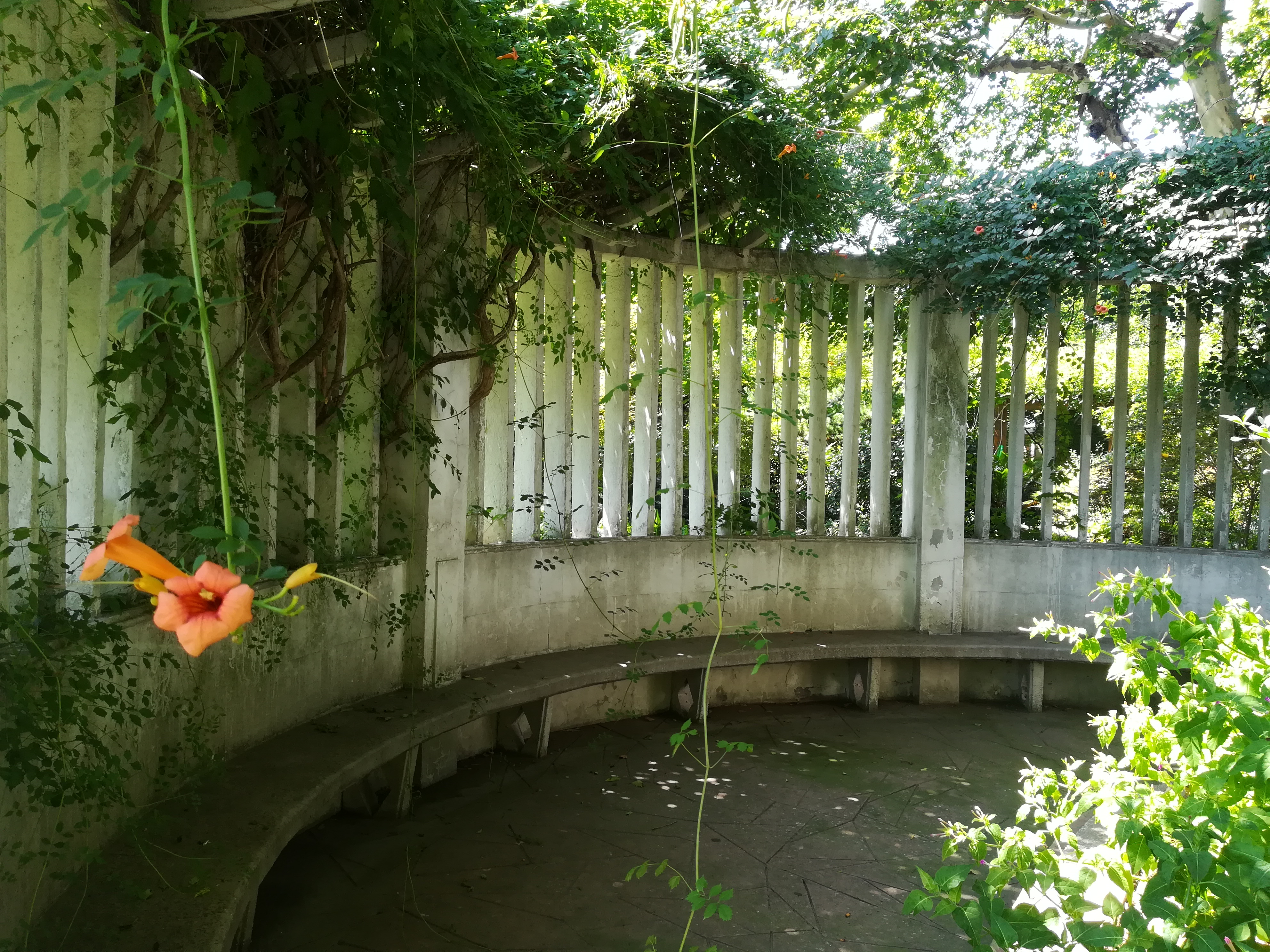 上海长风公园钓鱼,上海长风公园改造计划