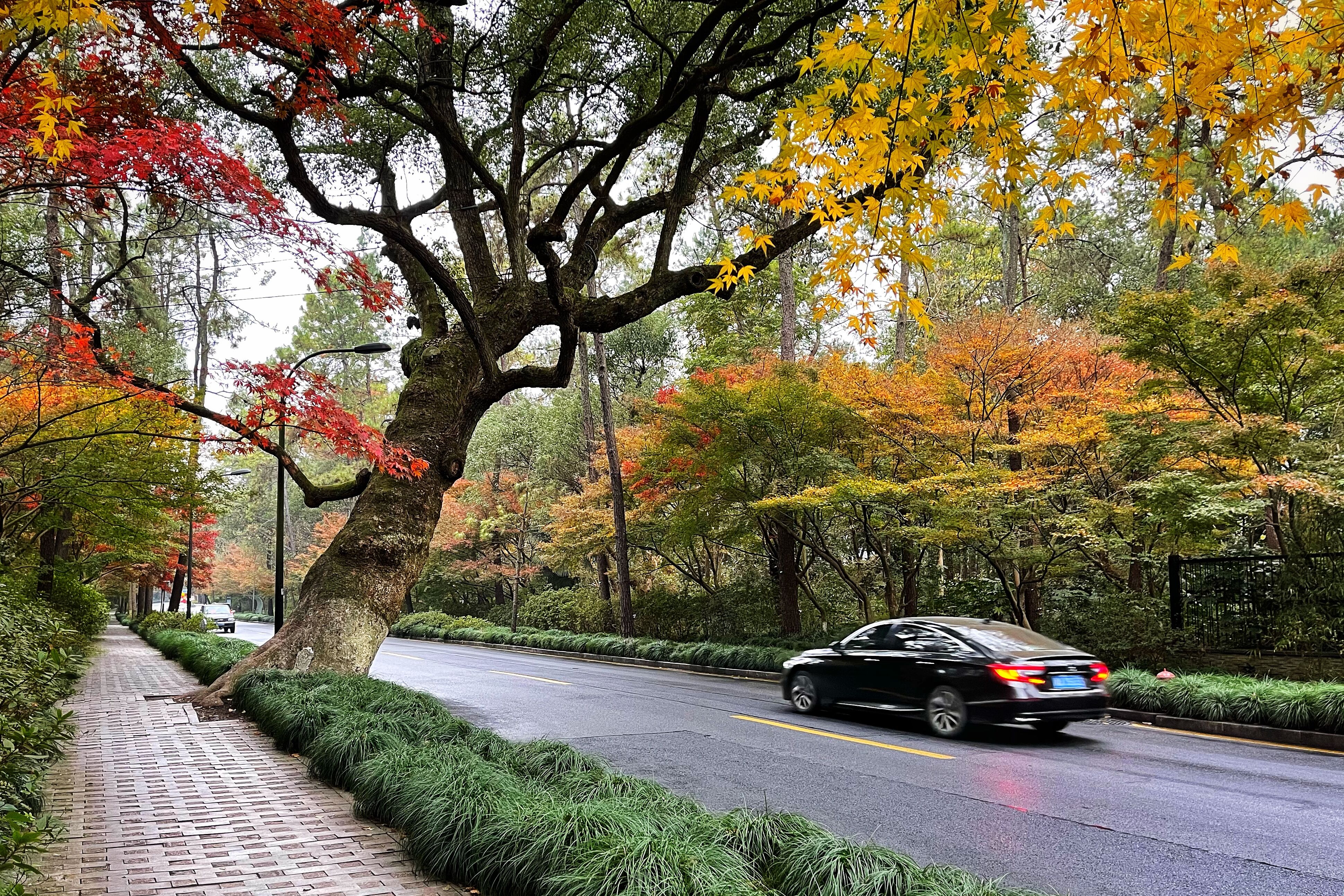 飞行2万公里，足迹10个城市——2020我的手机摄影之旅