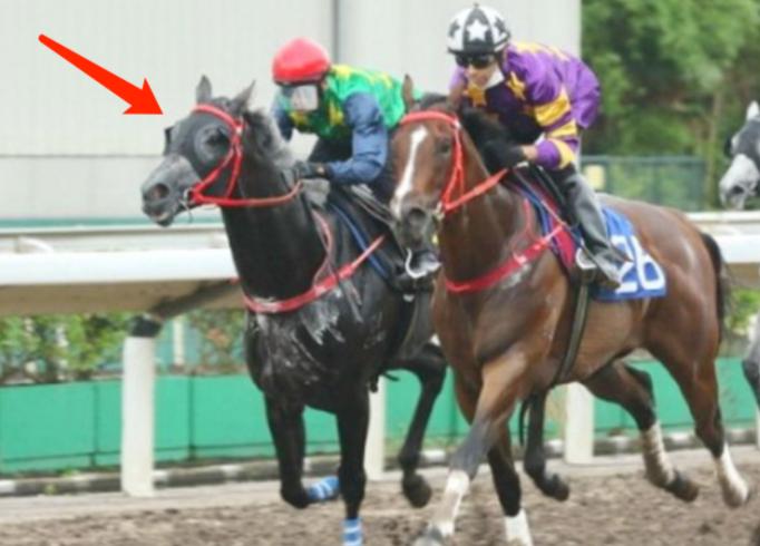 荣氏家族三代首富,中国真正的隐形首富荣氏家族