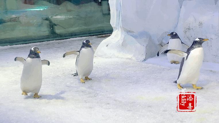 高铁出游度假,高铁出游攻略江浙沪