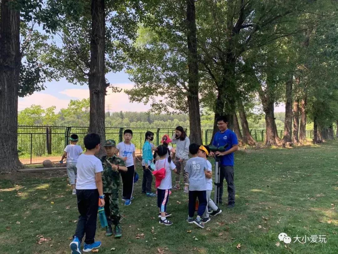 夏令营实地考察,儿童夏令营营地