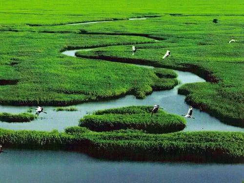 盘锦市到底怎么样,真实的盘锦是什么样子