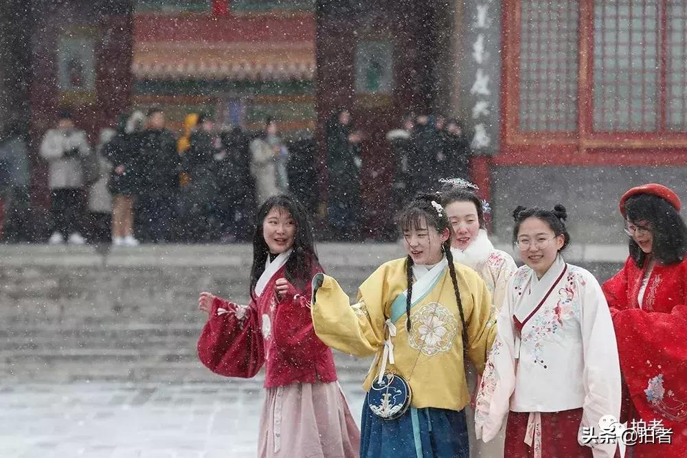 北京迎初雪9只熊猫,北京喜迎初雪去北京动物园看熊猫