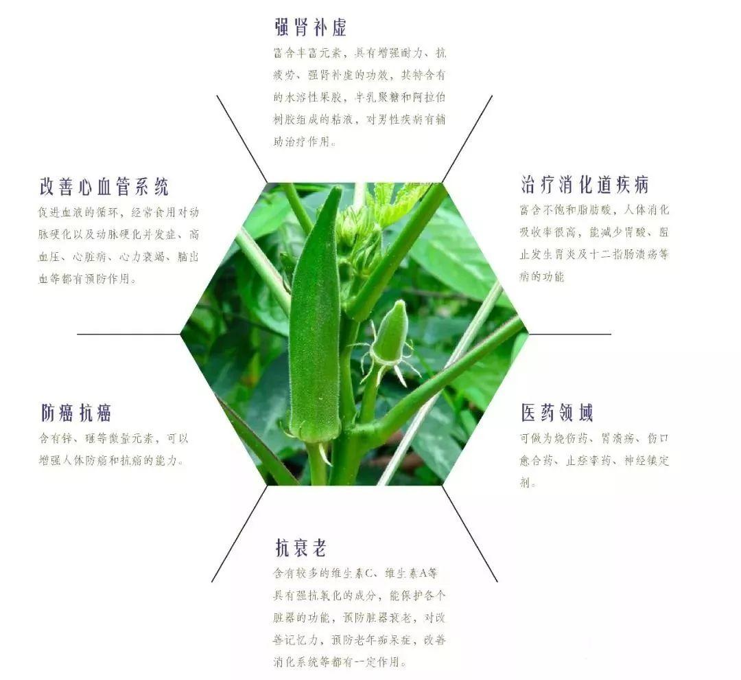 秋葵色口红,专属口红定制