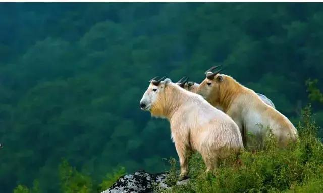 2023中国县域最美榜单,中国十大最美县域