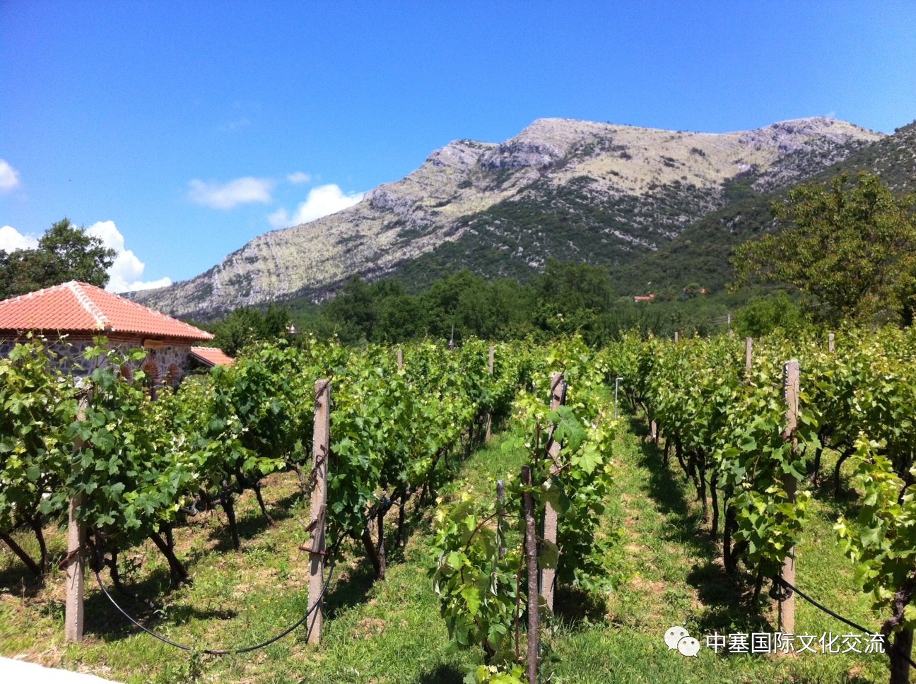 连巨星政要都亲睐的修道院葡萄酒庄你还不赶紧的｜尽在波黑福尔多