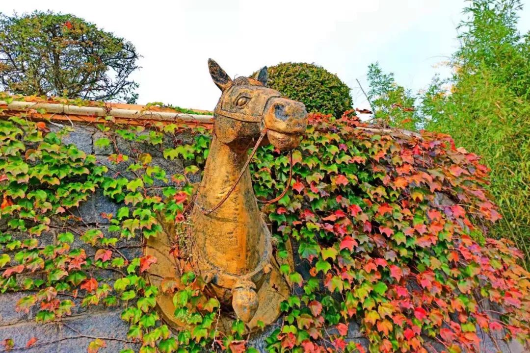 童话小镇在哪里,山东梦幻童话小镇在哪里