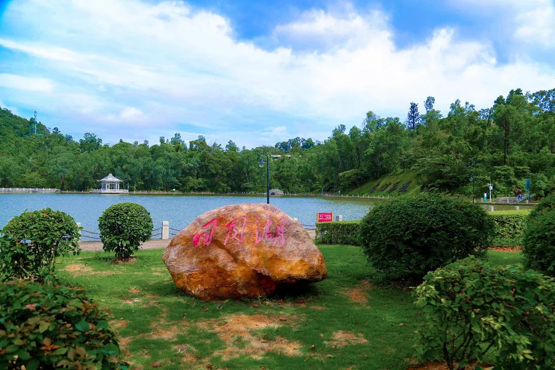 广东211大学名单暨南大学,港澳台暨南大学本科录取分数