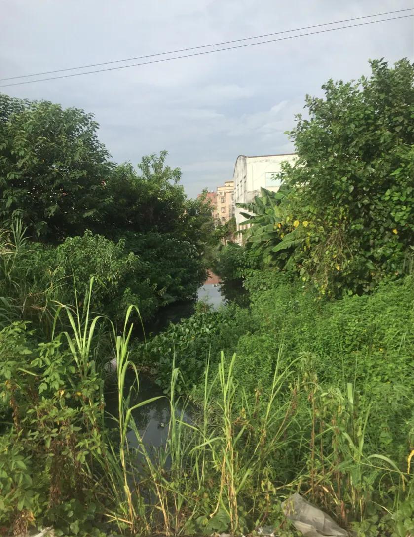 中山市工改规划片区,中山北部改造最新规划